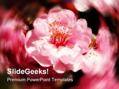 Cherry Blossoms Nature PowerPoint Templates And PowerPoint Backgrounds 0311