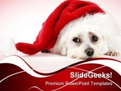 Christmas Pooch Holidays PowerPoint Themes And PowerPoint Slides 0211 Christmas Pooch Holidays PowerPoint Themes And PowerPoint Slides 0211