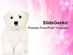 cute powerpoint templates slides and graphics cute powerpoints