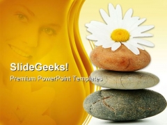 Daisy And Stones Nature PowerPoint Themes And PowerPoint Slides 0311 Daisy And Stones Nature PowerPoint Themes And PowerPoint Slides 0311