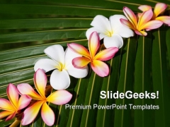 Frangipani On Green Leaf Nature PowerPoint Templates And PowerPoint Backgrounds 0311 Frangipani On Green Leaf Nature PowerPoint Templates And PowerPoint Backgrounds 0311
