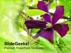 Garden With Purple Flowers Background PowerPoint Templates Ppt Backgrounds For Slides 0613 Garden With Purple Flowers Background PowerPoint Templates Ppt Backgrounds For Slides 0613