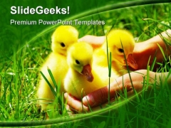 Gosling Animals PowerPoint Themes And PowerPoint Slides 0211