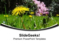 Green Medow With Daisy Flower PowerPoint Templates Ppt Backgrounds For Slides 0713 Green Medow With Daisy Flower PowerPoint Templates Ppt Backgrounds For Slides 0713