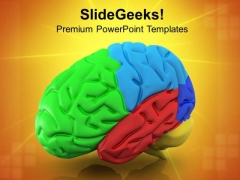 Illustration Of Human Brain PowerPoint Templates Ppt Backgrounds For Slides 0813 Illustration Of Human Brain PowerPoint Templates Ppt Backgrounds For Slides 0813
