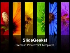 Rainbow Of Different Flowers Beauty PowerPoint Templates And PowerPoint Backgrounds 0311 Rainbow Of Different Flowers Beauty PowerPoint Templates And PowerPoint Backgrounds 0311