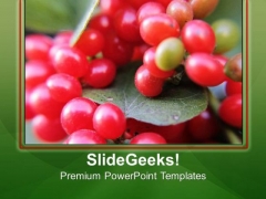 Red Color Grape Background PowerPoint Templates Ppt Backgrounds For Slides 0613 Red Color Grape Background PowerPoint Templates Ppt Backgrounds For Slides 0613