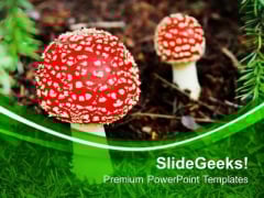 Red Top Mashrooms Nature Theme PowerPoint Templates Ppt Backgrounds For Slides 0613 Red Top Mashrooms Nature Theme PowerPoint Templates Ppt Backgrounds For Slides 0613