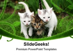 Staying Close Together Animals PowerPoint Themes And PowerPoint Slides 0211 Staying Close Together Animals PowerPoint Themes And PowerPoint Slides 0211