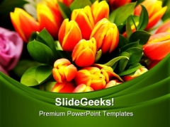 Tulip Flowers Beauty PowerPoint Templates And PowerPoint Backgrounds 0311 Tulip Flowers Beauty PowerPoint Templates And PowerPoint Backgrounds 0311