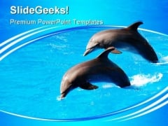 Two Dolphin Jumping Animals PowerPoint Themes And PowerPoint Slides 0411 Two Dolphin Jumping Animals PowerPoint Themes And PowerPoint Slides 0411