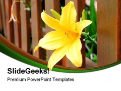 Yellow Freedom Flower Nature PowerPoint Themes And PowerPoint Slides 0211