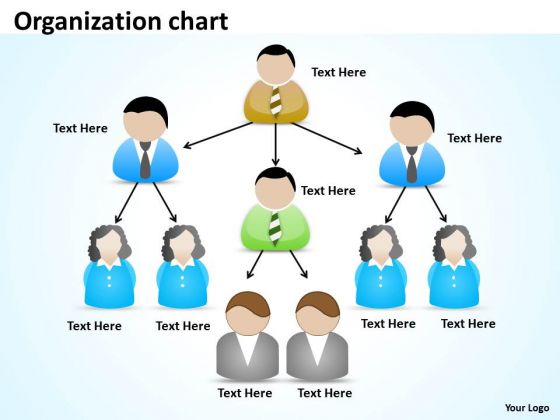 Business Diagram Organization Sketch Marketing Diagram