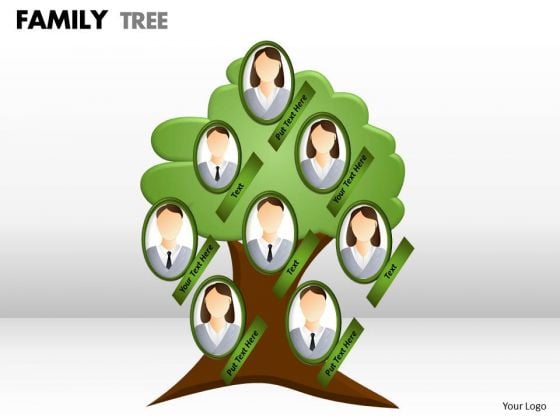 Business Finance Strategy Development Family Tree Business Diagram Business Finance Strategy Development Family Tree Business Diagram