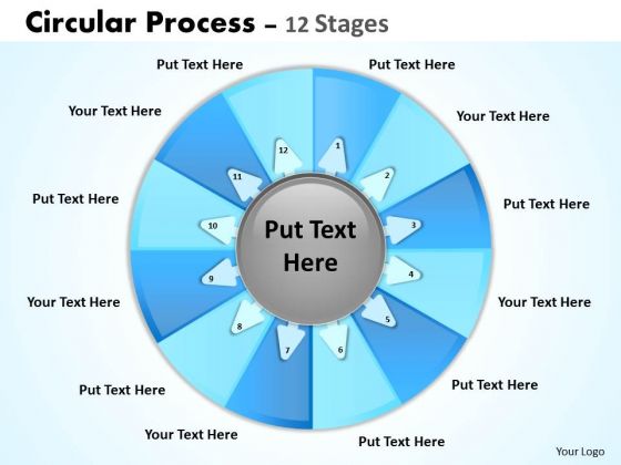 Consulting Diagram Circular Process 12 Stages Strategy Diagram