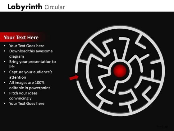 Sales Diagram Labyrinth Circular Business Finance Strategy Development