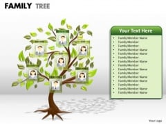 Business Finance Strategy Development Family Tree Mba Models And Frameworks Business Finance Strategy Development Family Tree Mba Models And Frameworks