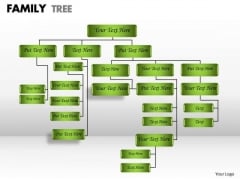 Business Finance Strategy Development Family Tree Sales Diagram Business Finance Strategy Development Family Tree Sales Diagram