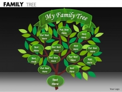 Business Finance Strategy Development Family Tree Strategic Management Business Finance Strategy Development Family Tree Strategic Management