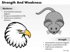 Business Finance Strategy Development Strength And Weaknesses Marketing Diagram Business Finance Strategy Development Strength And Weaknesses Marketing Diagram