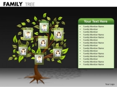 Business Framework Model Family Tree Business Finance Strategy Development Business Framework Model Family Tree Business Finance Strategy Development