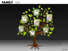 Business Framework Model Family Tree Mba Models And Frameworks Business Framework Model Family Tree Mba Models And Frameworks