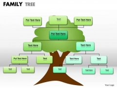 Business Framework Model Family Tree Strategy Diagram Business Framework Model Family Tree Strategy Diagram