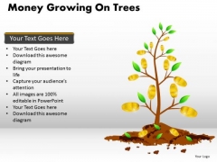 Business Framework Model Money Growing On Trees Sales Diagram Business Framework Model Money Growing On Trees Sales Diagram
