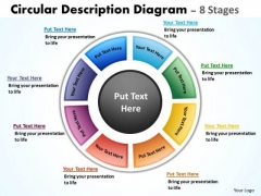 Consulting Diagram Circular Description Diagrams 8 Stages Business Cycle Diagram