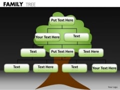 Consulting Diagram Family Tree Business Finance Strategy Development Consulting Diagram Family Tree Business Finance Strategy Development