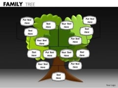 Consulting Diagram Family Tree Business Framework Model