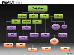 Consulting Diagram Family Tree Strategy Diagram Consulting Diagram Family Tree Strategy Diagram