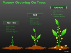 Consulting Diagram Money Growing On Trees Strategic Management Consulting Diagram Money Growing On Trees Strategic Management