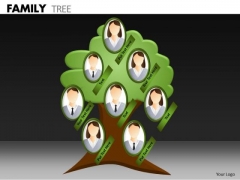 Mba Models And Frameworks Family Tree Business Diagram Mba Models And Frameworks Family Tree Business Diagram