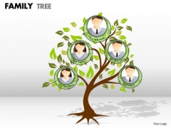 Mba Models And Frameworks Family Tree Marketing Diagram