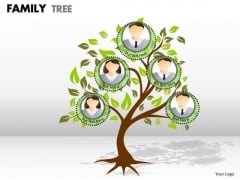 Mba Models And Frameworks Family Tree Marketing Diagram Mba Models And Frameworks Family Tree Marketing Diagram