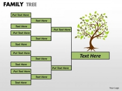 Sales Diagram Family Tree Strategic Management Sales Diagram Family Tree Strategic Management