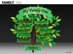 Strategic Management Family Tree Business Finance Strategy Development Strategic Management Family Tree Business Finance Strategy Development