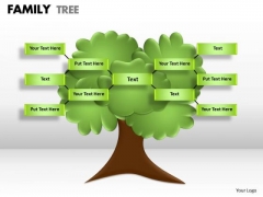 Strategic Management Family Tree Consulting Diagram Strategic Management Family Tree Consulting Diagram