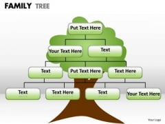 Strategic Management Family Tree Mba Models And Frameworks