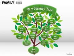Strategy Diagram Family Tree Business Finance Strategy Development Strategy Diagram Family Tree Business Finance Strategy Development