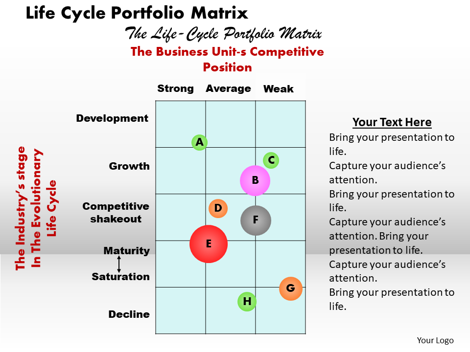 Life Cycle Portfolio Matrix Business PowerPoint Presentation